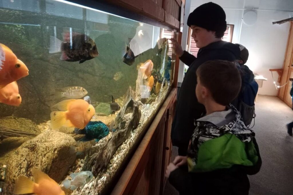 Vydry na návštěvě v minizoo